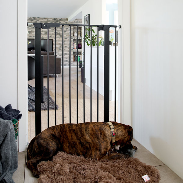 Heavy duty tall dog hot sale gate